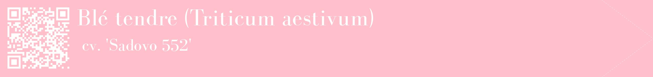 étiquette 2