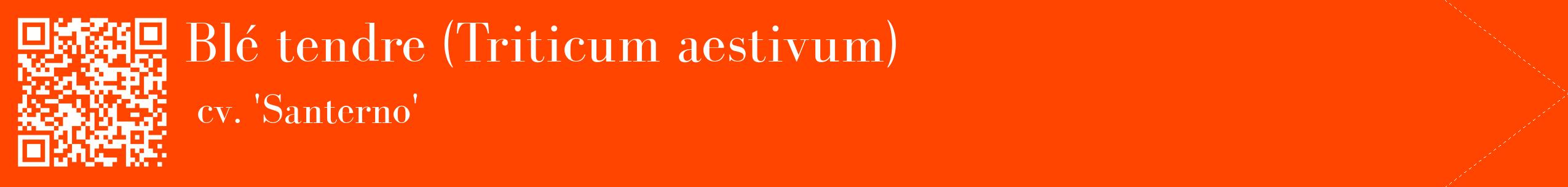 étiquette 2