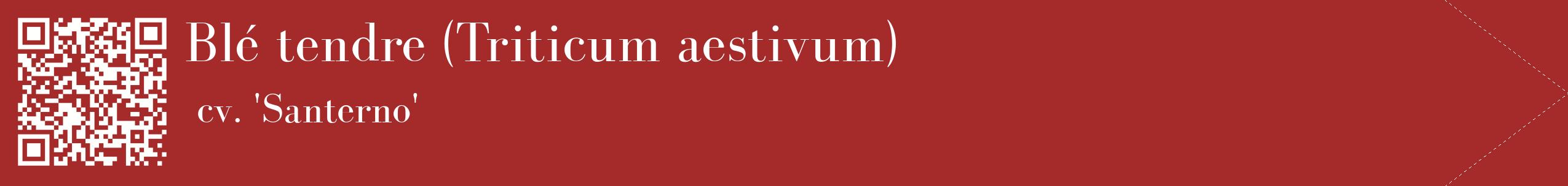 étiquette 2