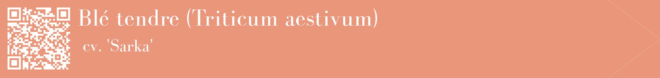 étiquette 2