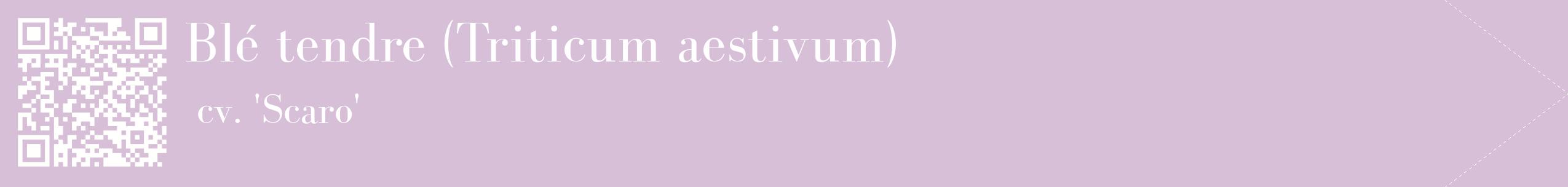 étiquette 2