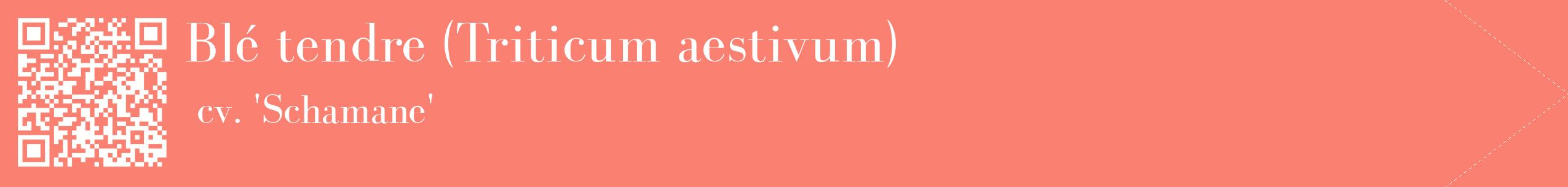 étiquette 2