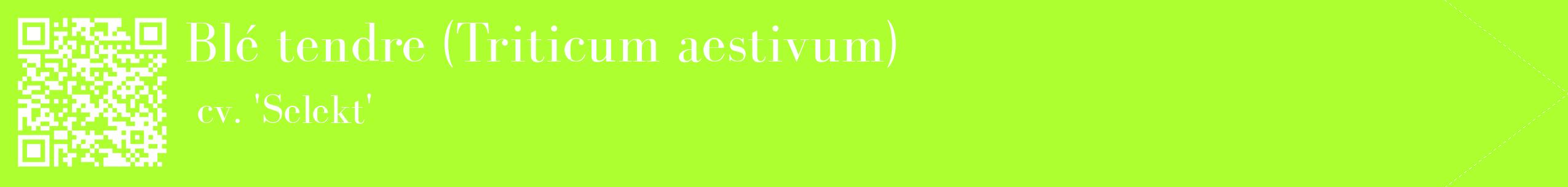 étiquette 2