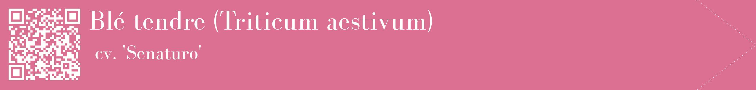 étiquette 2