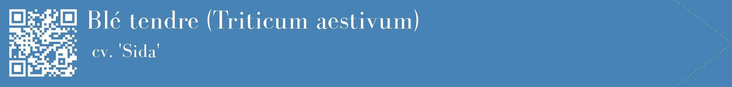 étiquette 2