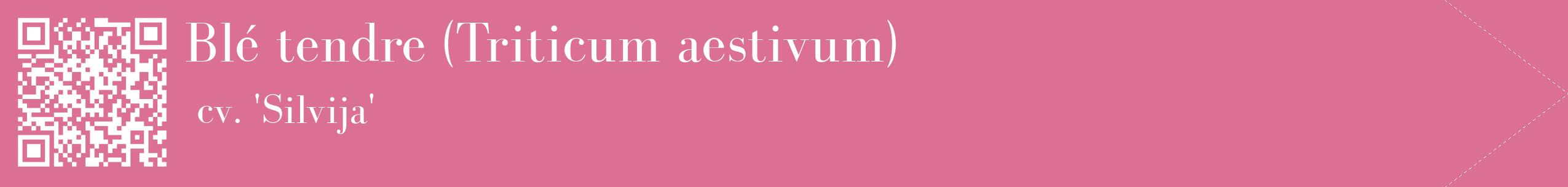 étiquette 2