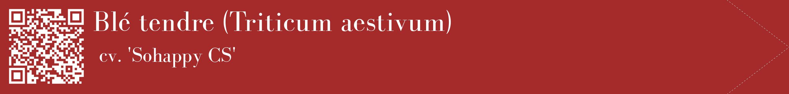étiquette 2
