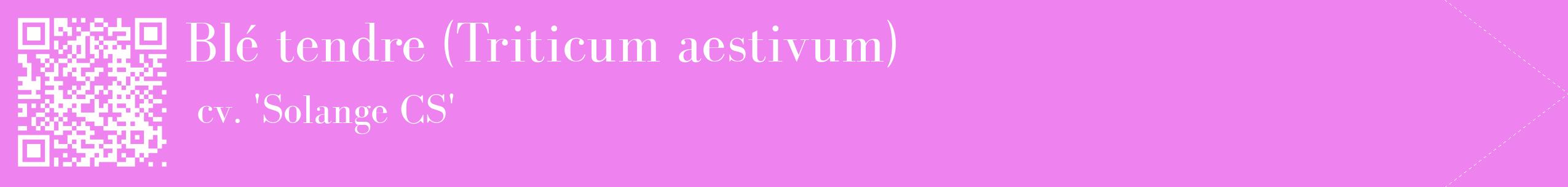 étiquette 2