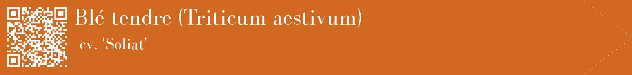 étiquette 2