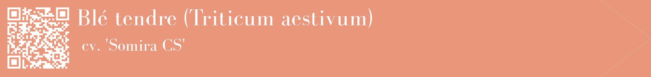 étiquette 2