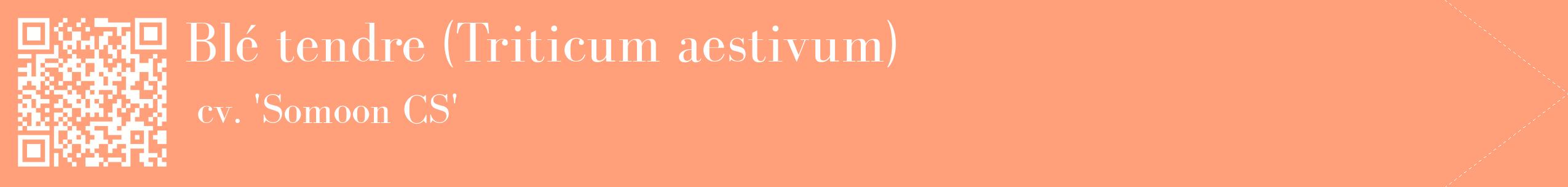 étiquette 2