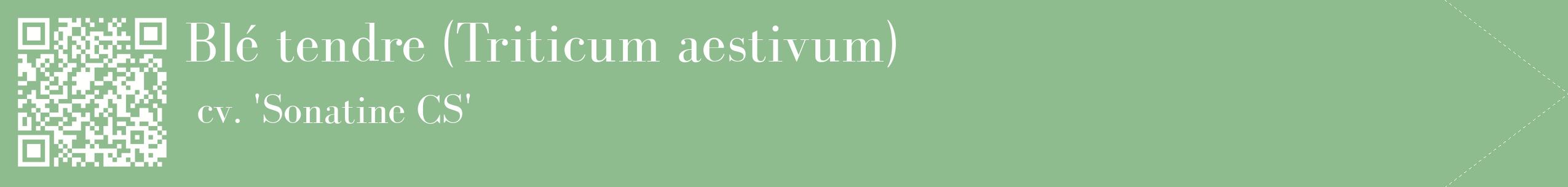 étiquette 2