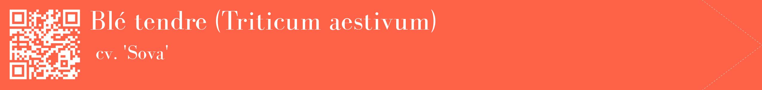 étiquette 2