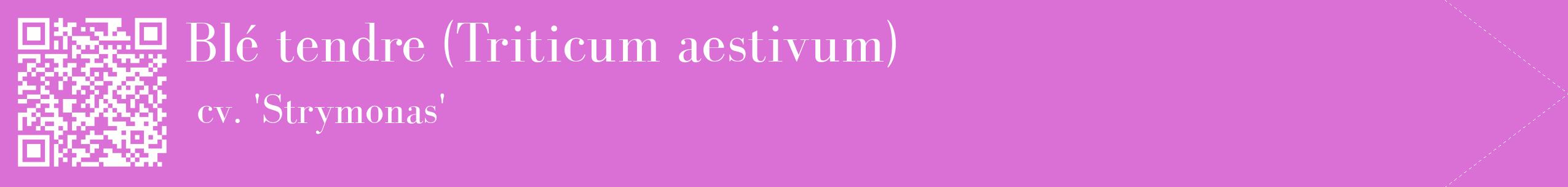 étiquette 2