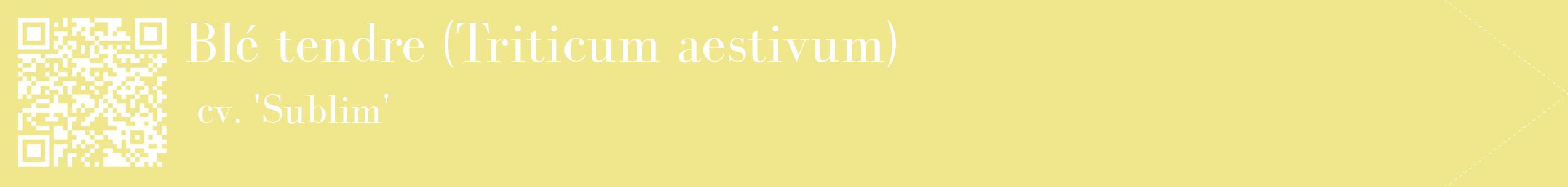 étiquette 2