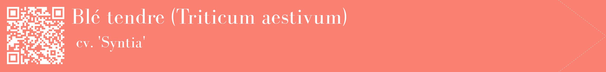 étiquette 2