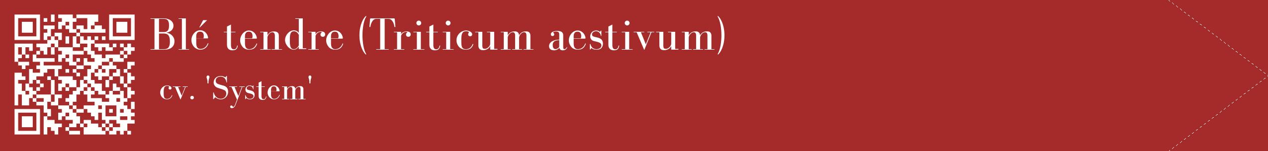 étiquette 2