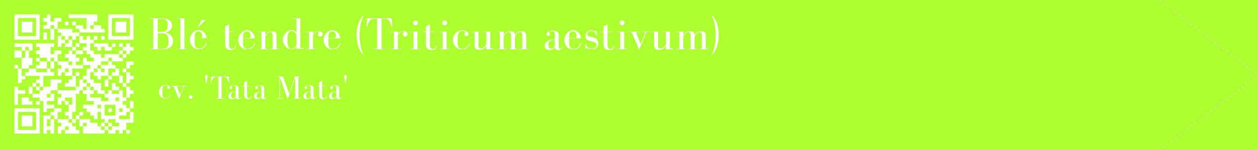 étiquette 2