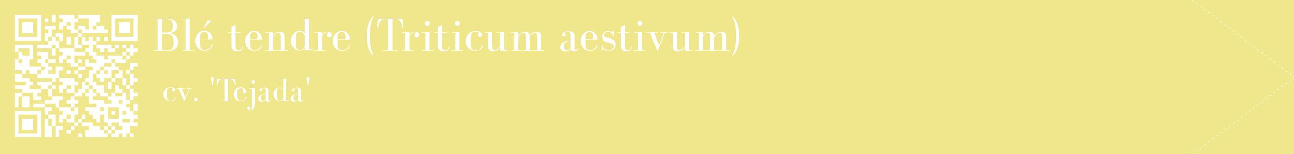 étiquette 2