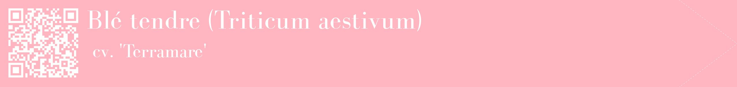 étiquette 2