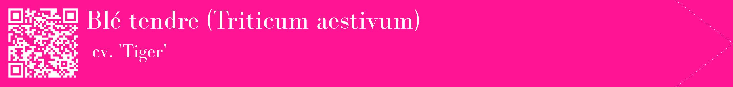 étiquette 2