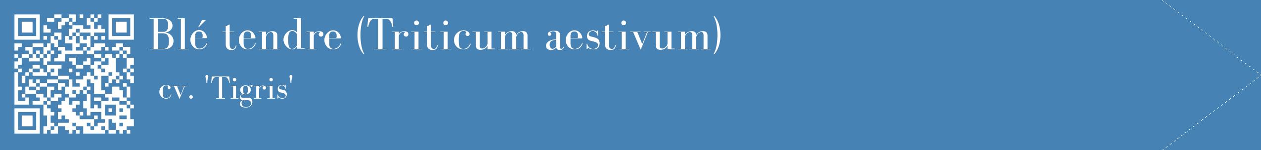 étiquette 2