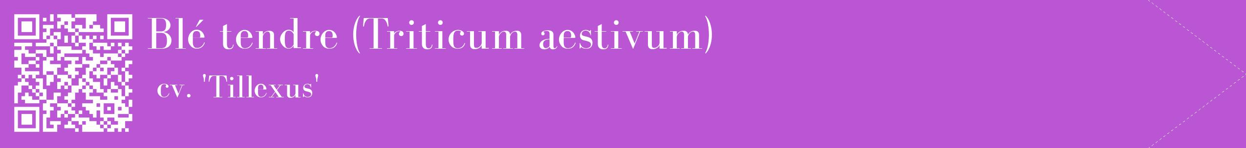 étiquette 2