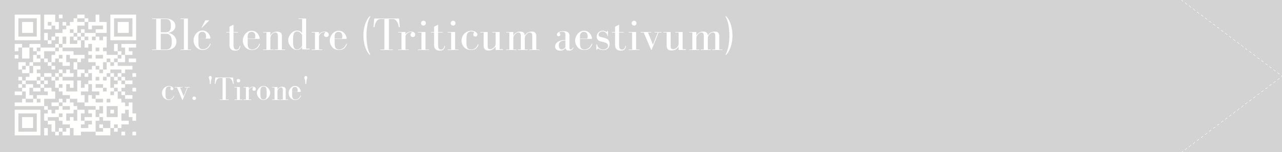 étiquette 2