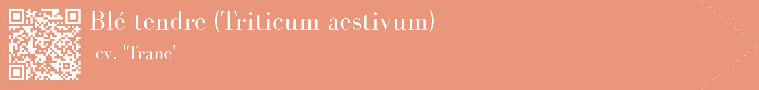 étiquette 2