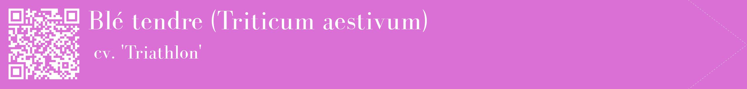 étiquette 2