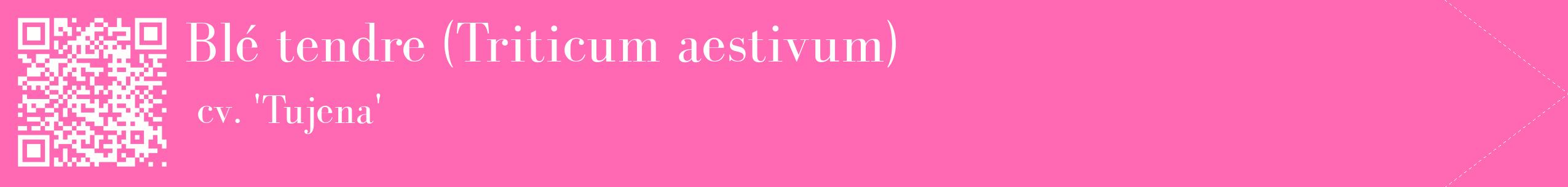 étiquette 2