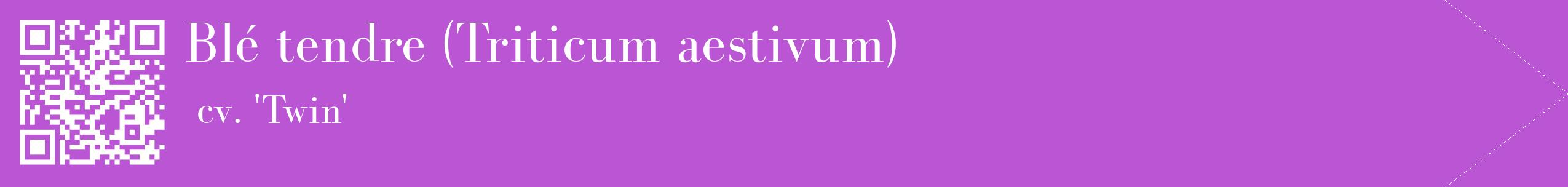 étiquette 2