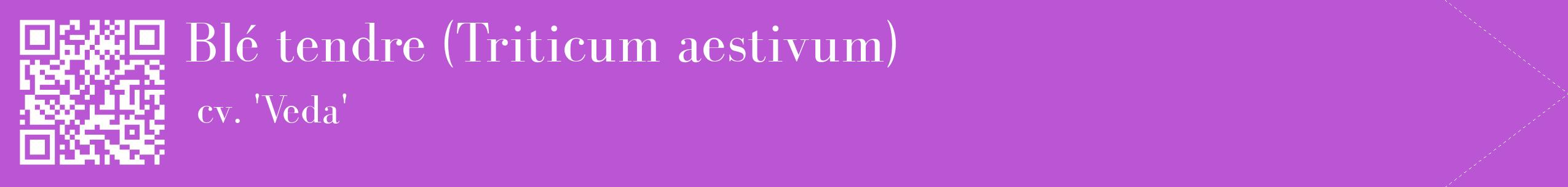 étiquette 2