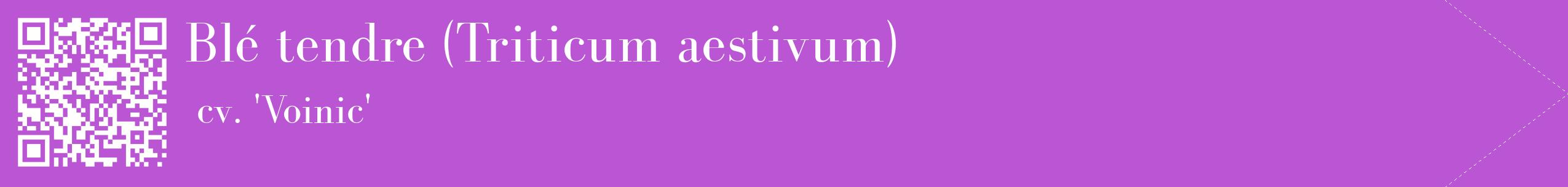 étiquette 2
