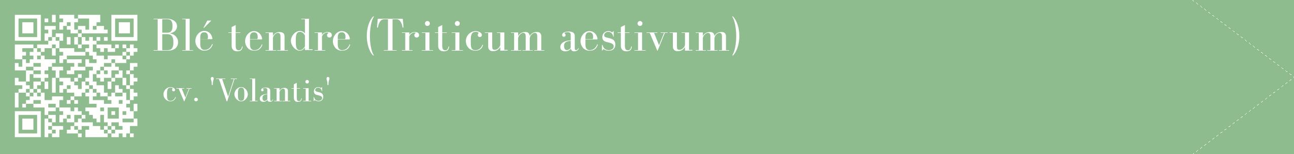 étiquette 2