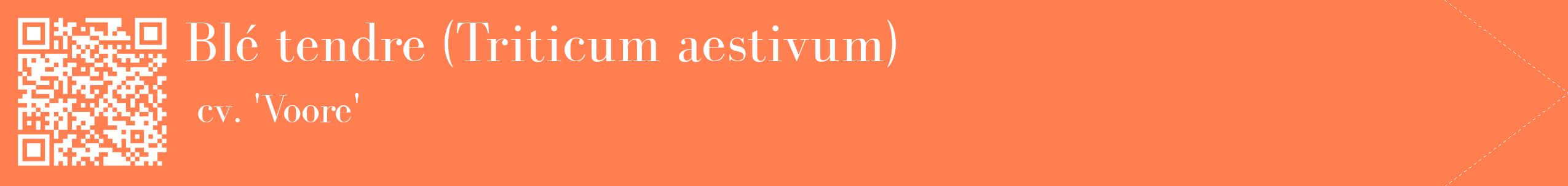 étiquette 2