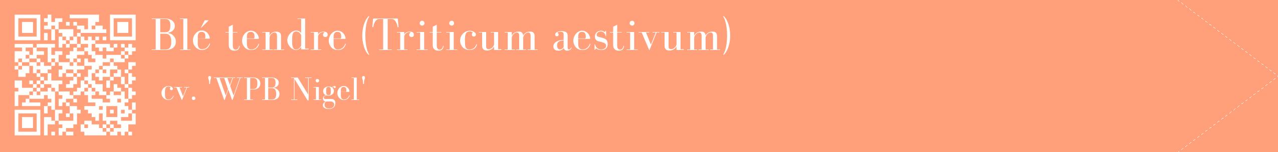 étiquette 2