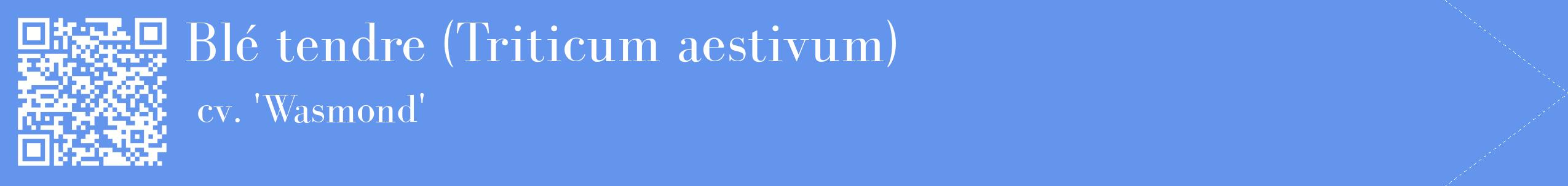 étiquette 2