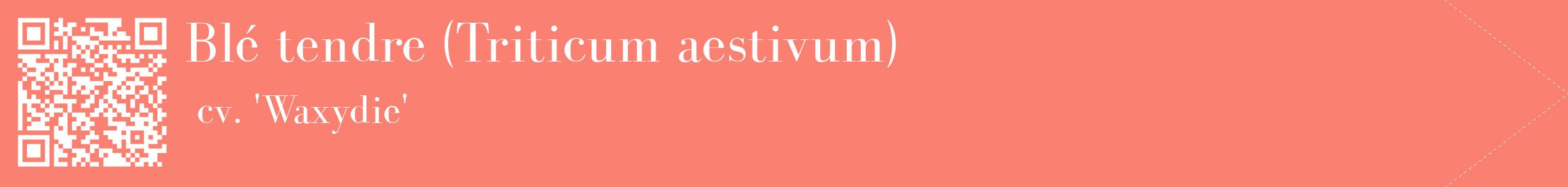 étiquette 2
