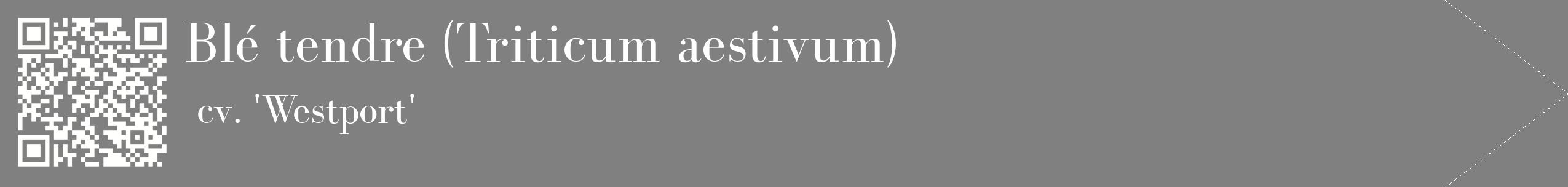 étiquette 2