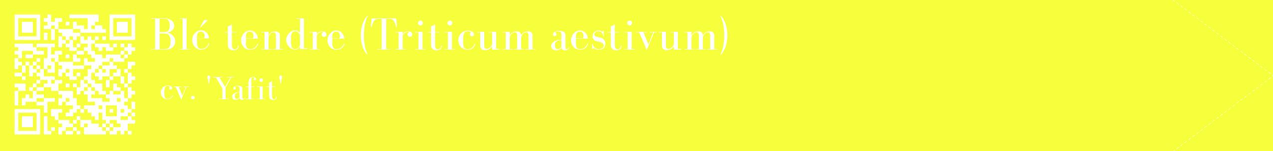 étiquette 2