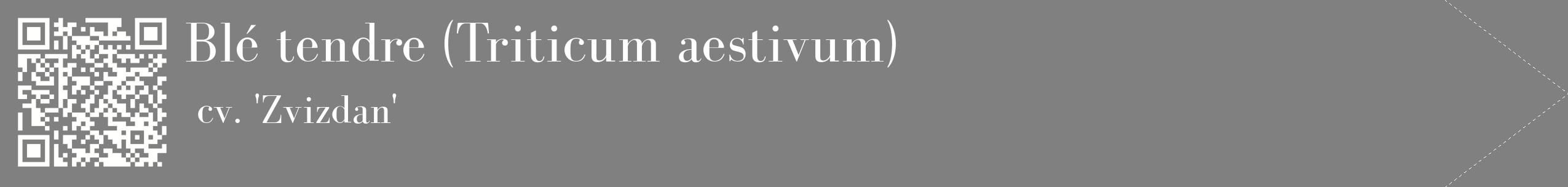 étiquette 2
