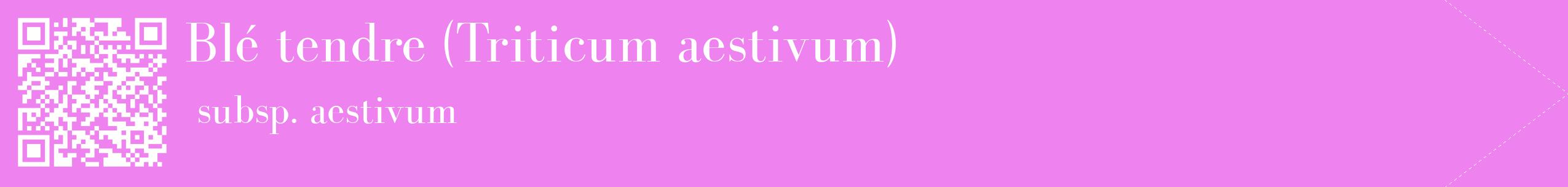étiquette 2