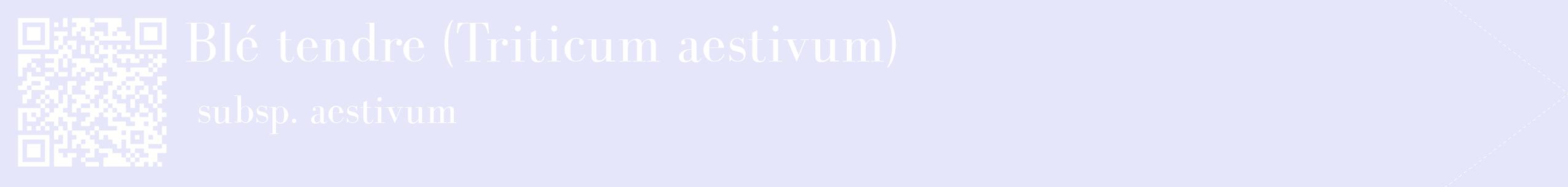 étiquette 2