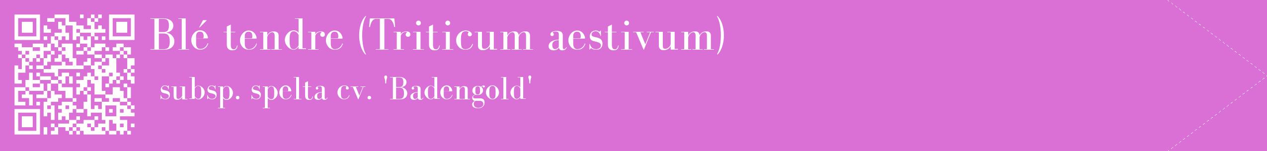 étiquette 2