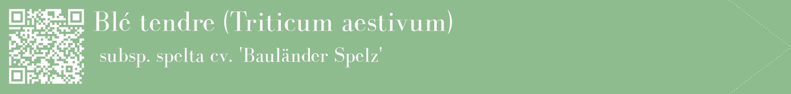 étiquette 2