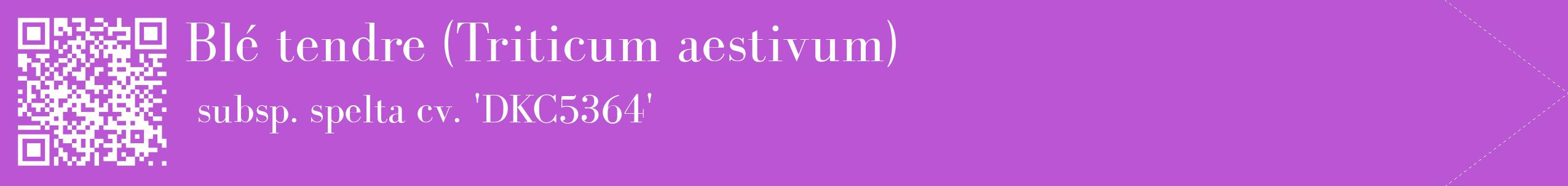 étiquette 2