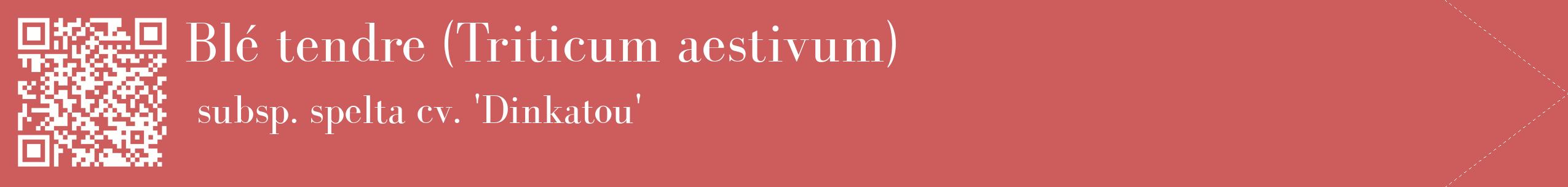 étiquette 2