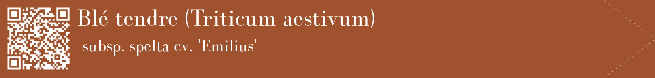 étiquette 2