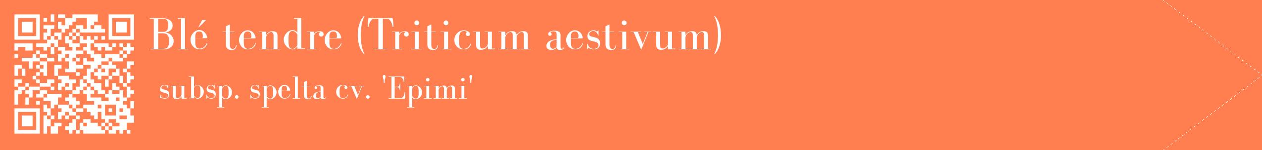 étiquette 2